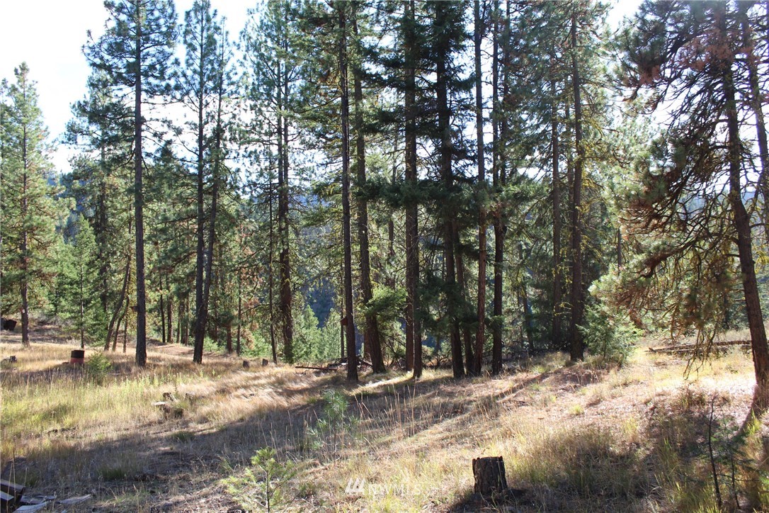 500 Harkness Road Cle Elum, WA 98922 - Photo 35 of 38 Gallery Image 35