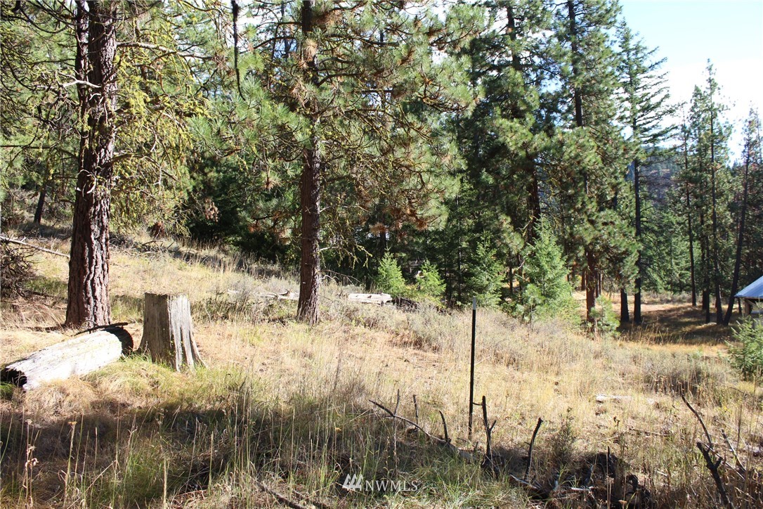 500 Harkness Road Cle Elum, WA 98922 - Photo 36 of 38 Gallery Image 36