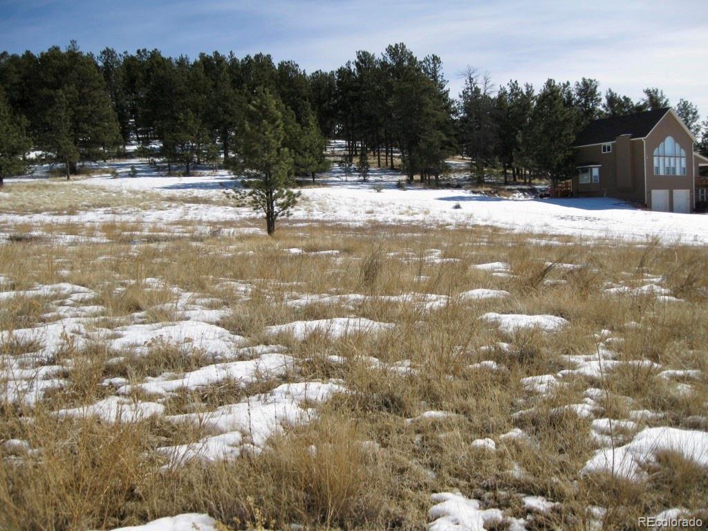 486 High Pasture Road Florissant, CO 80816 - Photo 12 of 15 a view of a yard with a tree