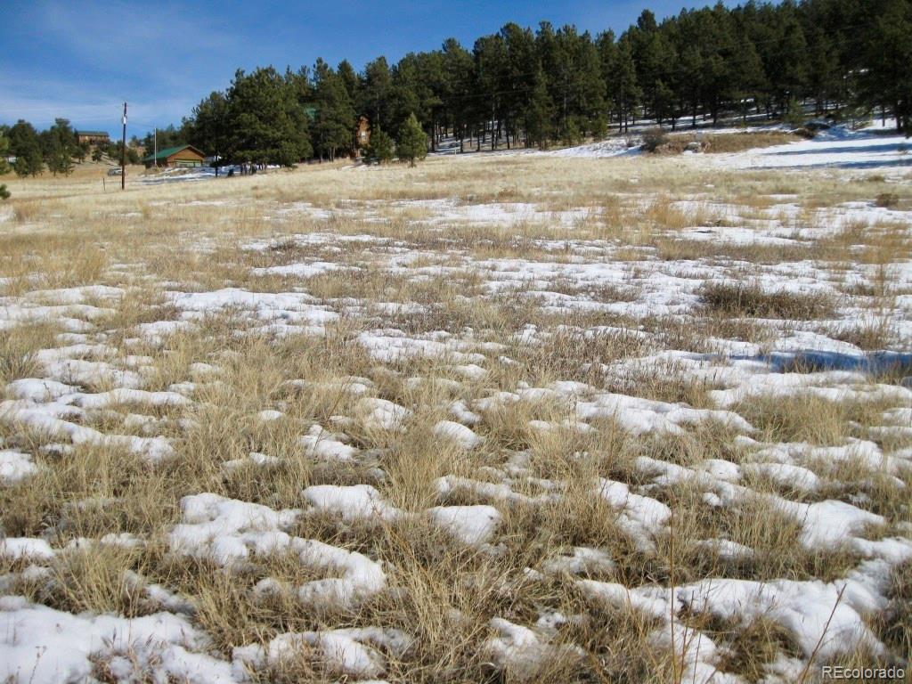 486 High Pasture Road Florissant, CO 80816 - Photo 13 of 15 a view of a yard with trees