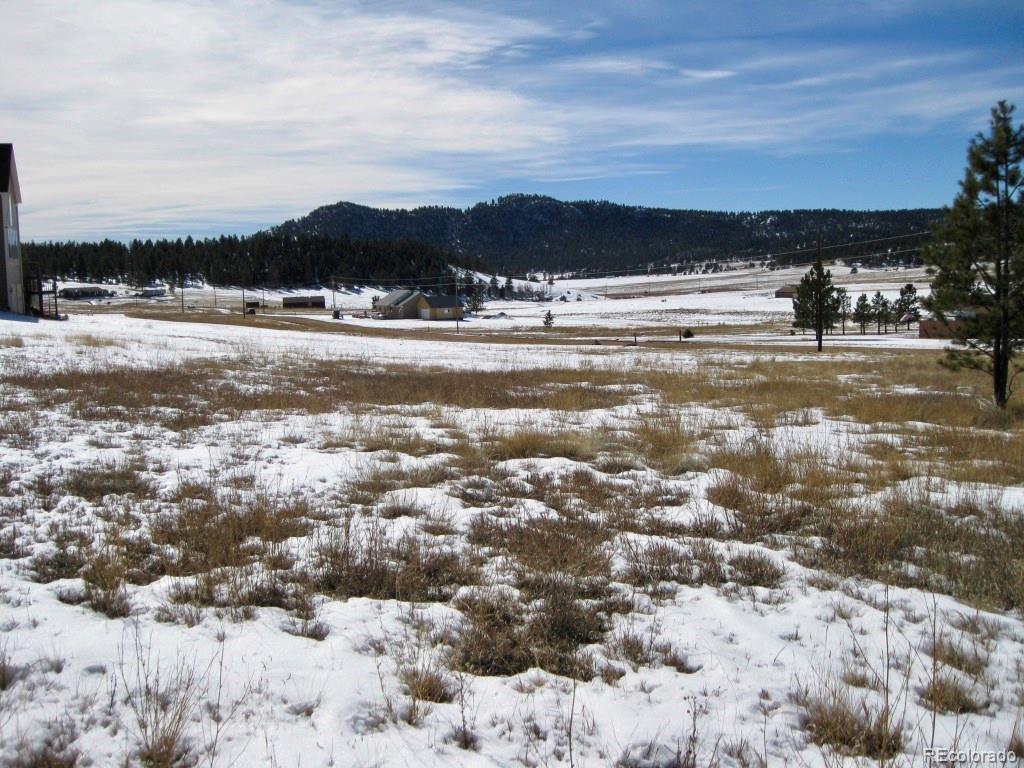 486 High Pasture Road Florissant, CO 80816 - Photo 14 of 15 a view of lake view and mountain view