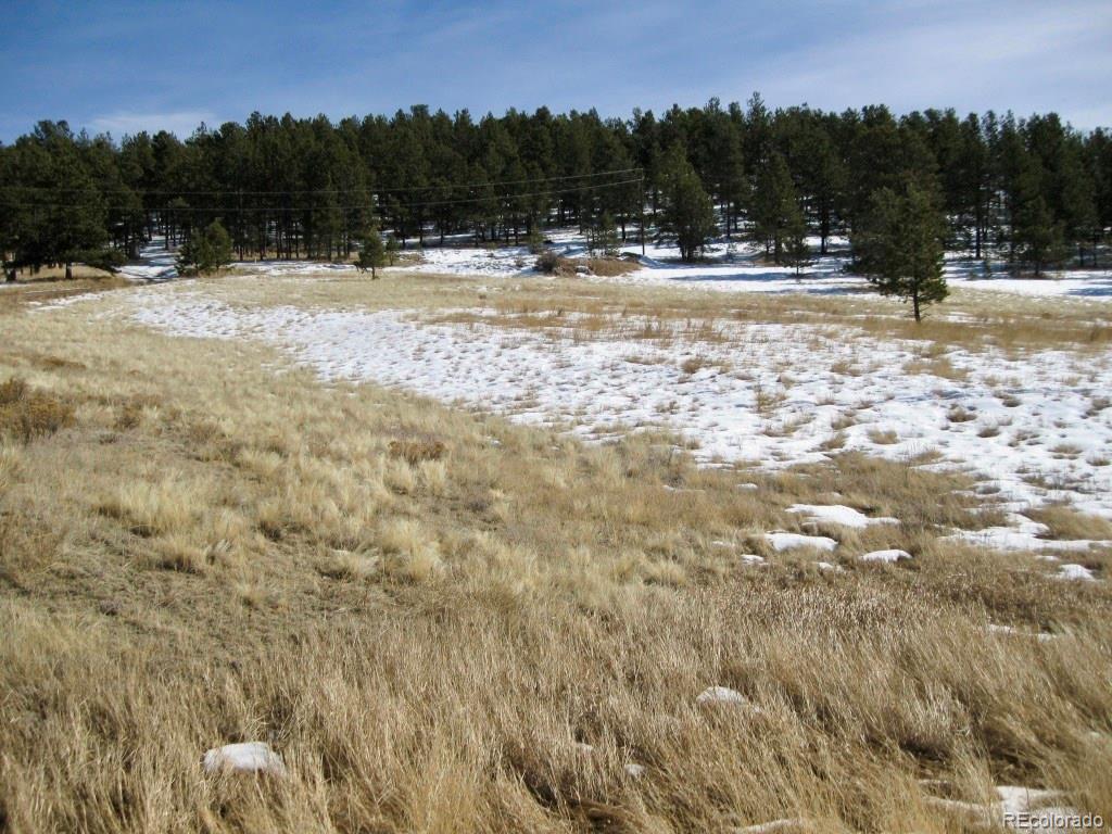 486 High Pasture Road Florissant, CO 80816 - Photo 15 of 15 a view of swimming pool and mountain view