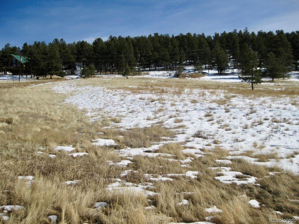 486 High Pasture Road Florissant, CO 80816 - Photo 5 of 15 a view of swimming pool and mountain