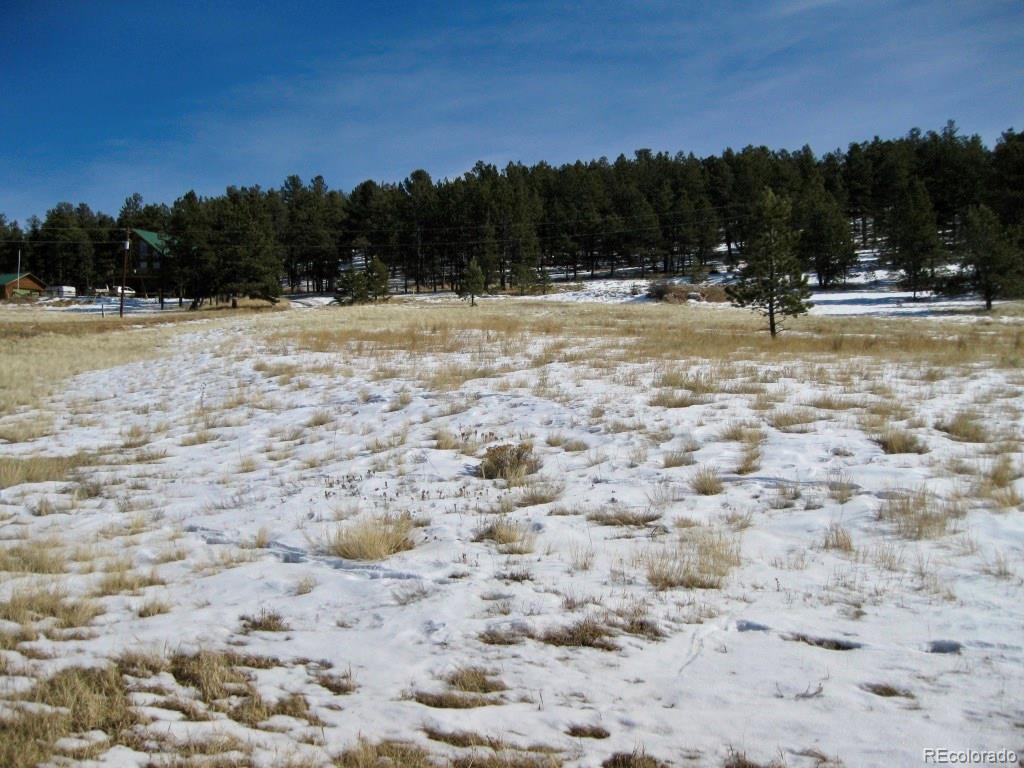 486 High Pasture Road Florissant, CO 80816 - Photo 6 of 15 a view of outdoor space with swimming pool and trees