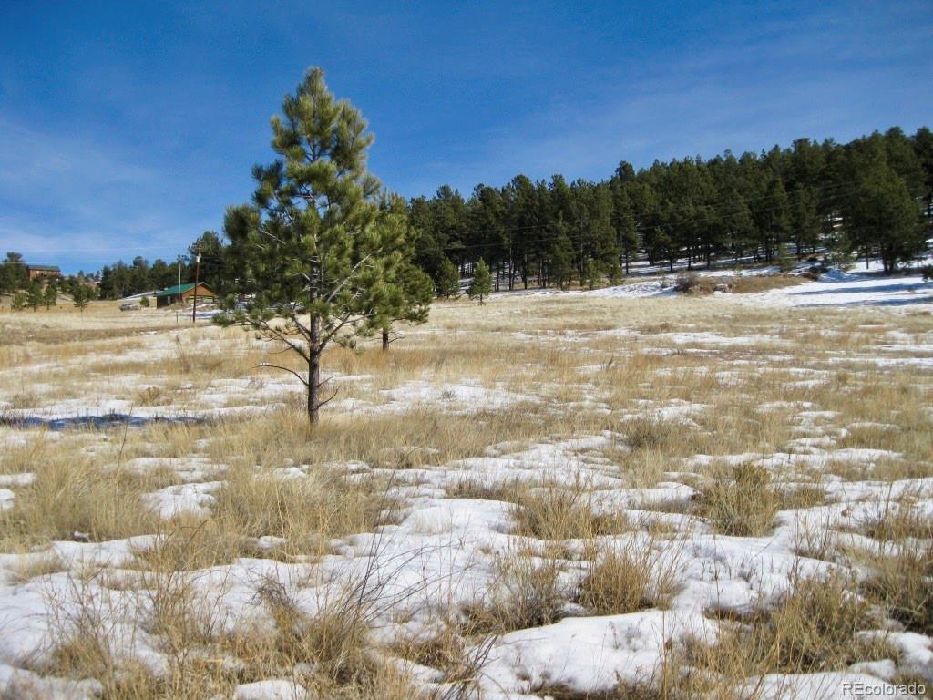 486 High Pasture Road Florissant, CO 80816 - Photo 7 of 15 a view of ocean view