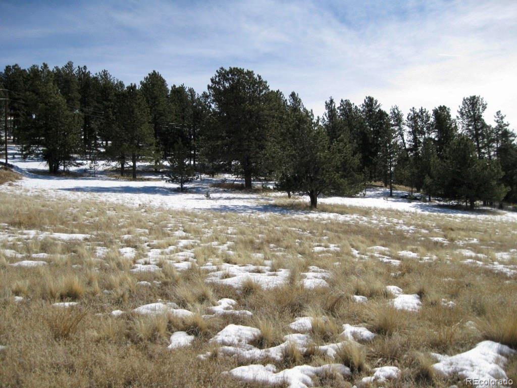 486 High Pasture Road Florissant, CO 80816 - Photo 8 of 15 a view of a yard covered with snow in the background