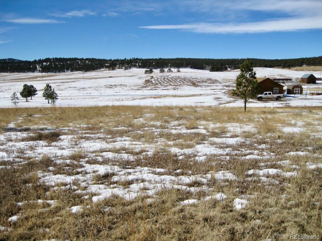 486 High Pasture Road Florissant, CO 80816 - Photo 10 of 15