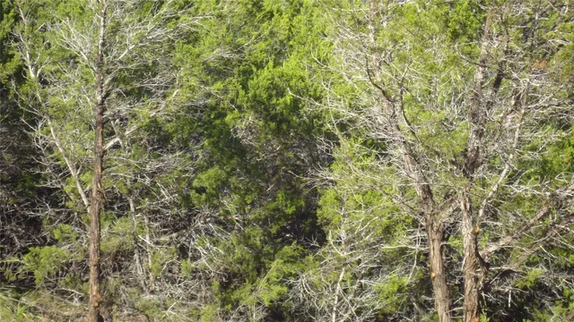 $250,000 | 13904-13902 Saskatchewan Drive, Austin, TX 78734