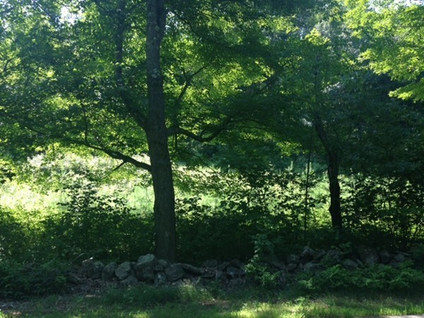 Lot 4 North Brookfield Road Rutland, MA 01543 - Photo 4 of 7 Gallery Image 4