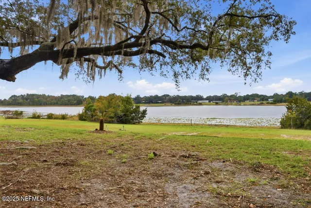 a house that has a tree in front of it