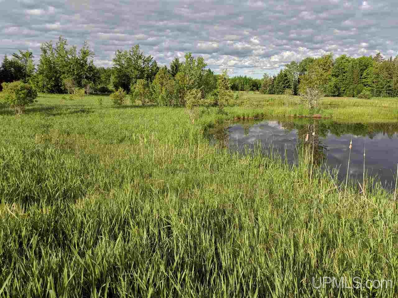 Tbd Town Line Road Skandia, MI 49885 - Photo 6 of 14