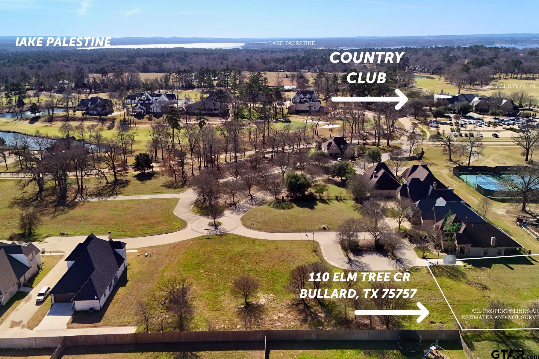110 Elm Tree Circle Bullard, TX 75757 - Photo 3 of 8
