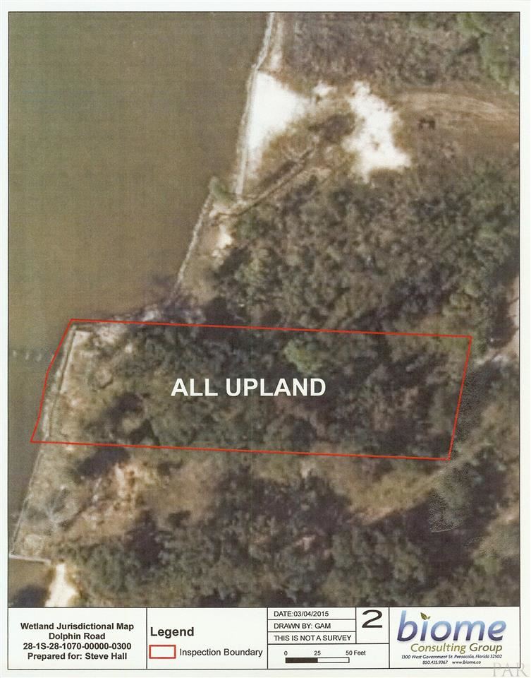 781 Dolphin Road Milton, FL 32583 - Photo 2 of 6 Environmental Study completed!