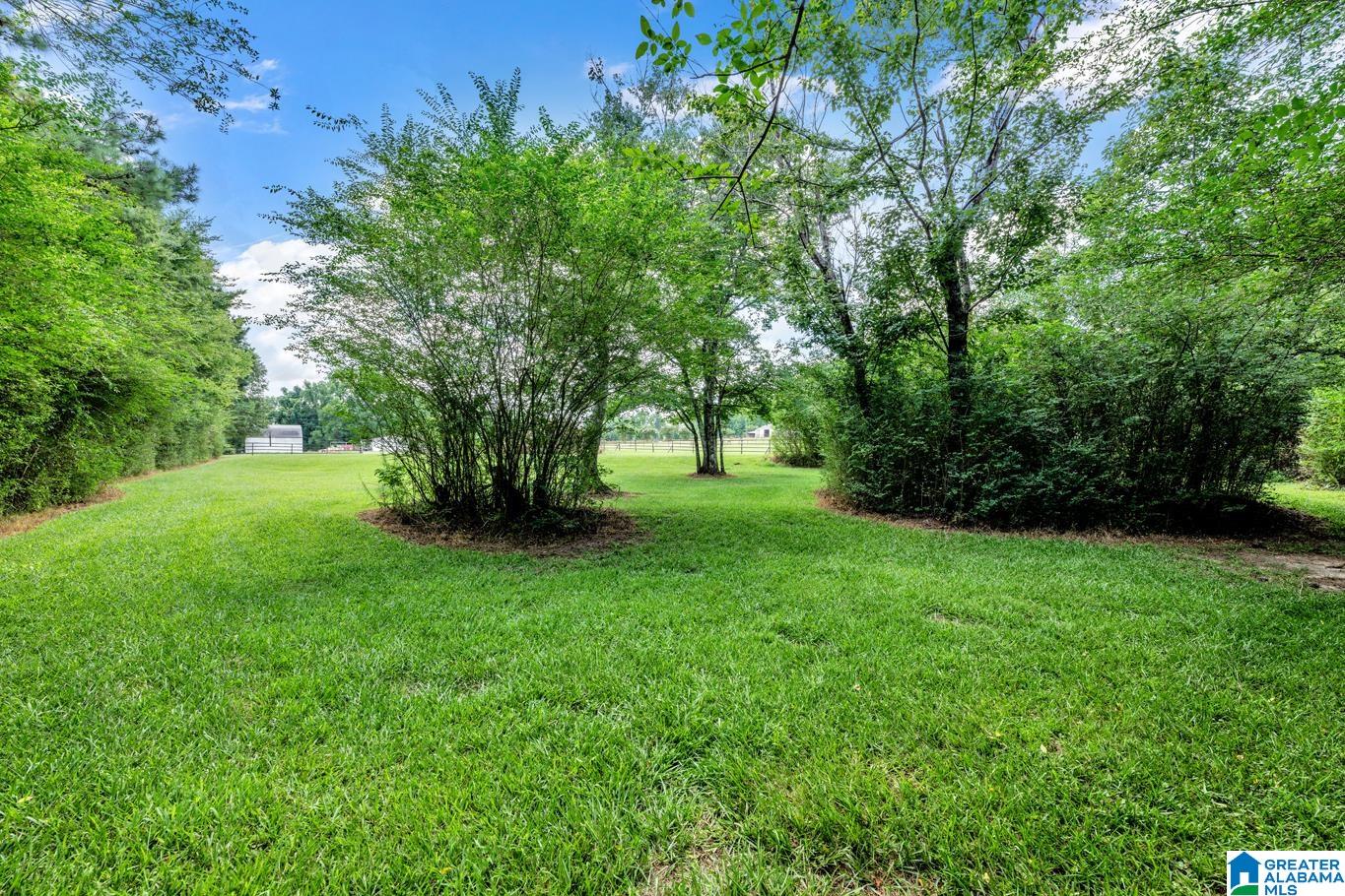 0 Mize Road, Unit 13 Remlap, AL 35133 - Photo 24 of 44