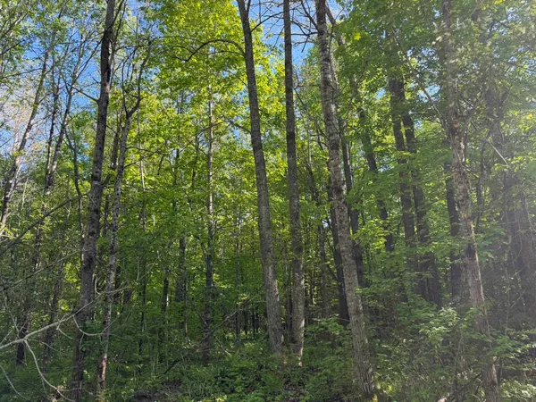 $79,500 | Dream Lake Road, Unit 7, Long Lake, WI 54542