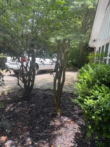 a view of a house with a tree