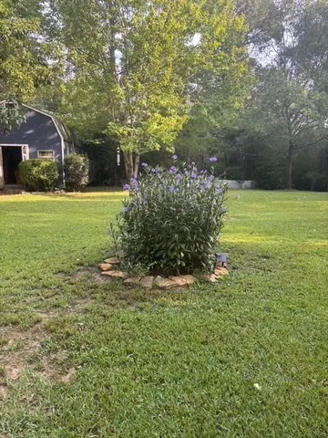 a view of a field of grass and trees