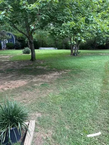 a view of a yard with a tree