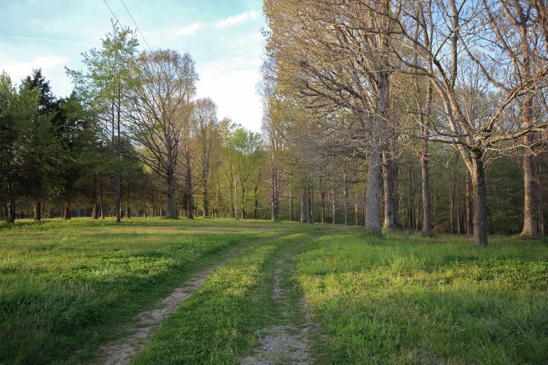 7251 Anderson Road Fairview, TN 37062 - Photo 26 of 30 The road that leads to the lake.