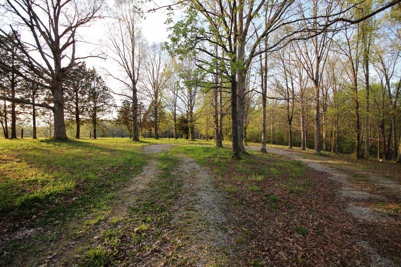 7251 Anderson Road Fairview, TN 37062 - Photo 27 of 30 Gallery Image 27