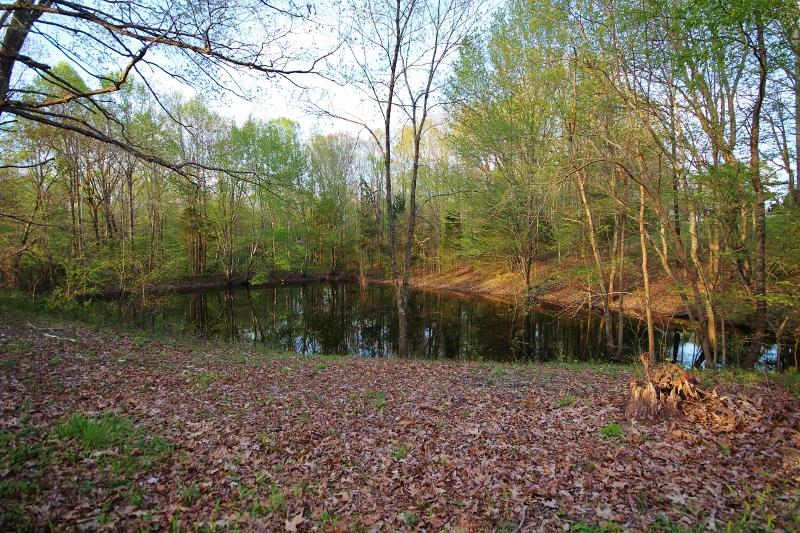 7251 Anderson Road Fairview, TN 37062 - Photo 28 of 30 Lake!