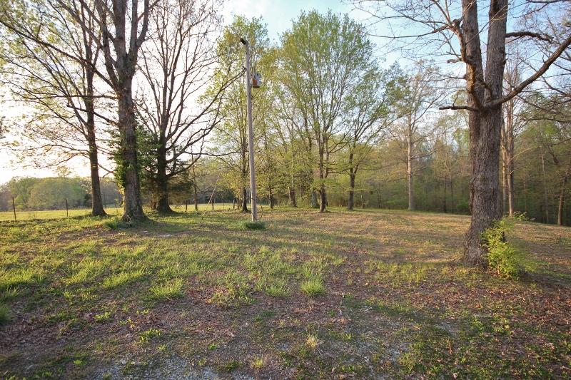 7251 Anderson Road Fairview, TN 37062 - Photo 29 of 30 Electricity has been ran to the back of the property. Used to have a trailer on the premises in this location.