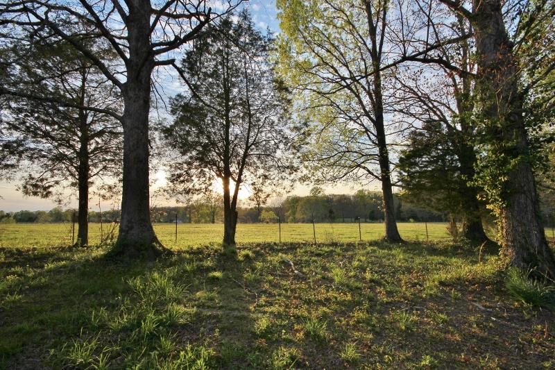 7251 Anderson Road Fairview, TN 37062 - Photo 30 of 30 This shows the 20.46 acres of pasture that is for sale also.
