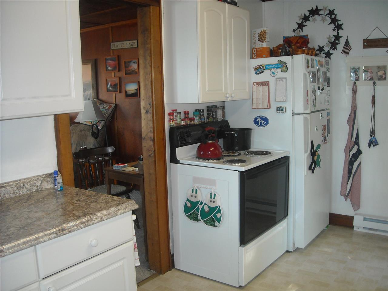 8821 Deadstream Road Honor, MI 49640 - Photo 7 of 11 1868947-6.JPG