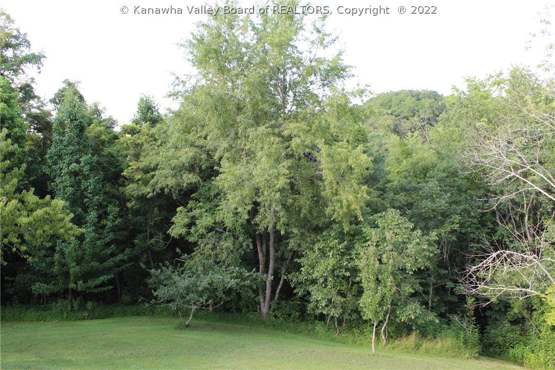1035 Calispel Ridge Road Leon, WV 25123 - Photo 29 of 29 Gallery Image 29