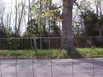 1333 Johnson Road Carlisle, KY 40311 - Photo 8 of 11 Photo 8