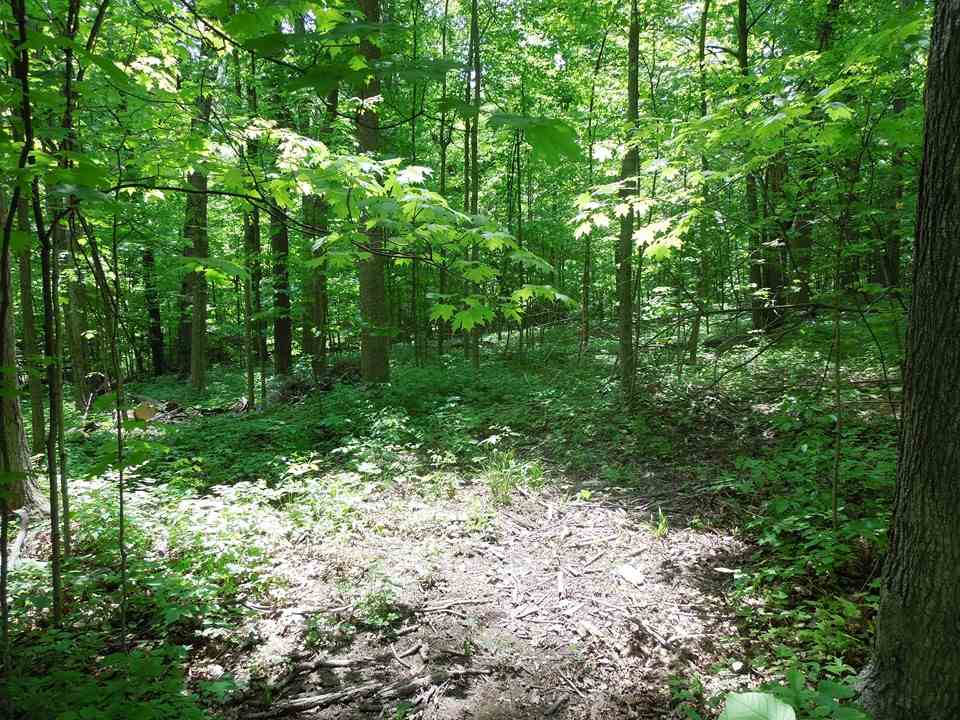 17323 Lochner Road Leo, IN 46765 - Photo 30 of 34