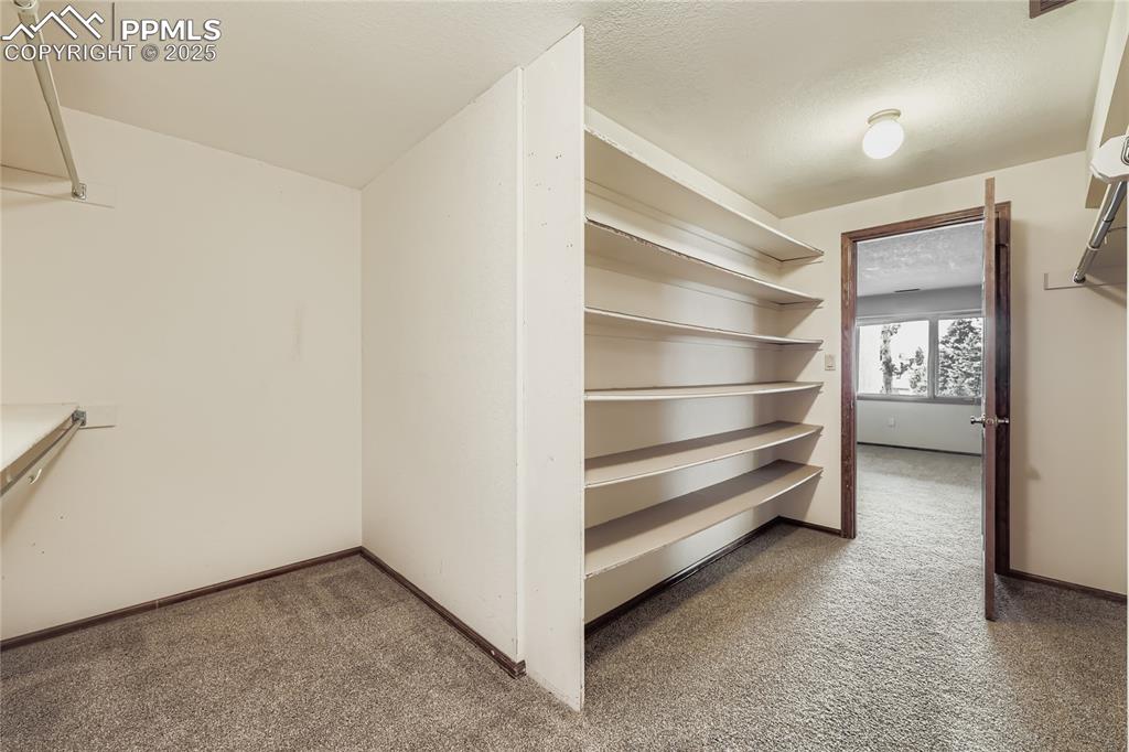 368 Mission Hill Way Colorado Springs, CO 80921 - Photo 32 of 39 a view of an empty room and a ceiling fan