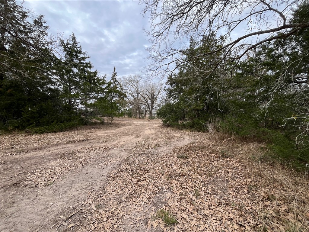 571 Railroad Road Somerville, TX 77879 - Photo 9 of 17