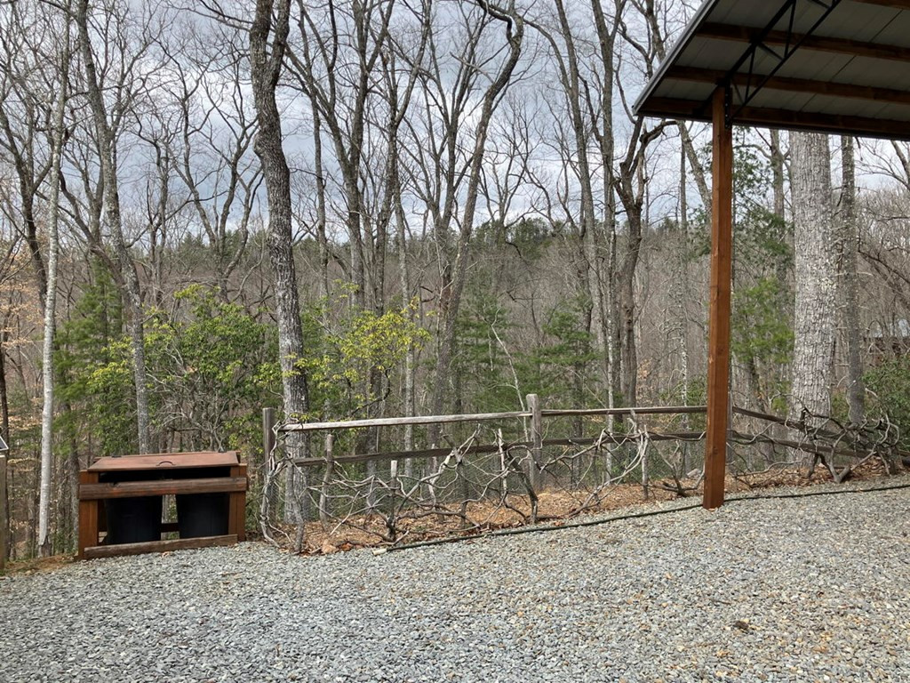 215 Legendary Rdg Road Murphy, NC 28906 - Photo 40 of 52