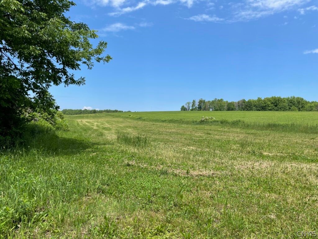 0 Mann Road Clymer, NY 14724 - Photo 1 of 1 Gallery Image 1