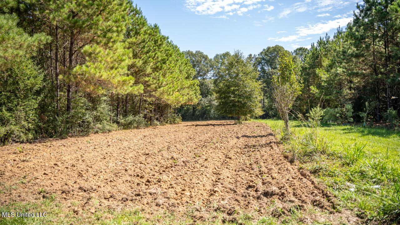 5302 East Wicker Road Smithdale, MS 39664 - Photo 19 of 50 ZTS06689 Large