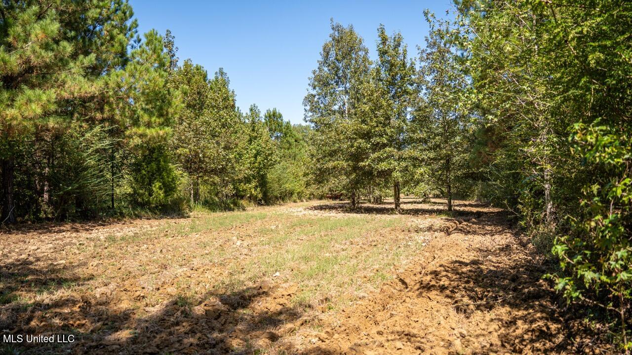 5302 East Wicker Road Smithdale, MS 39664 - Photo 25 of 50 ZTS06726 Large