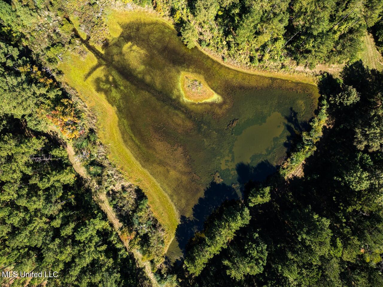 5302 East Wicker Road Smithdale, MS 39664 - Photo 3 of 50 DJI_0734 Large