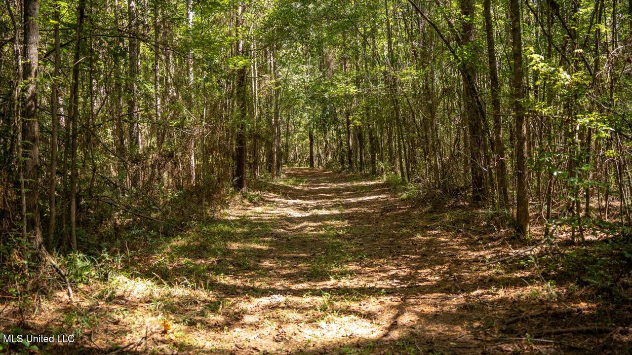 5302 East Wicker Road Smithdale, MS 39664 - Photo 36 of 50 ZTS06761 Large