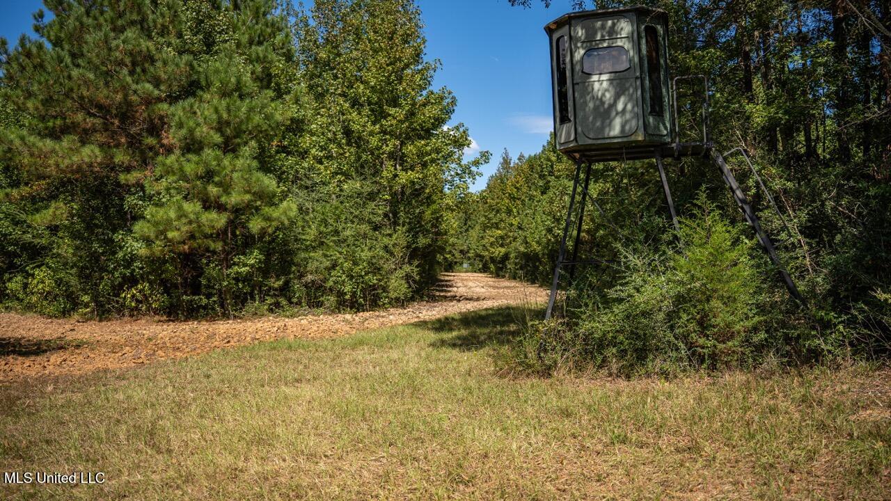 5302 East Wicker Road Smithdale, MS 39664 - Photo 38 of 50 ZTS06767 Large
