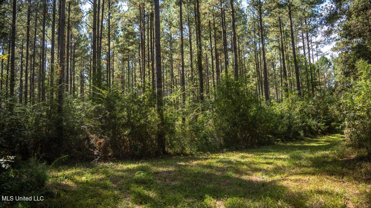 5302 East Wicker Road Smithdale, MS 39664 - Photo 43 of 50 ZTS06744 Large