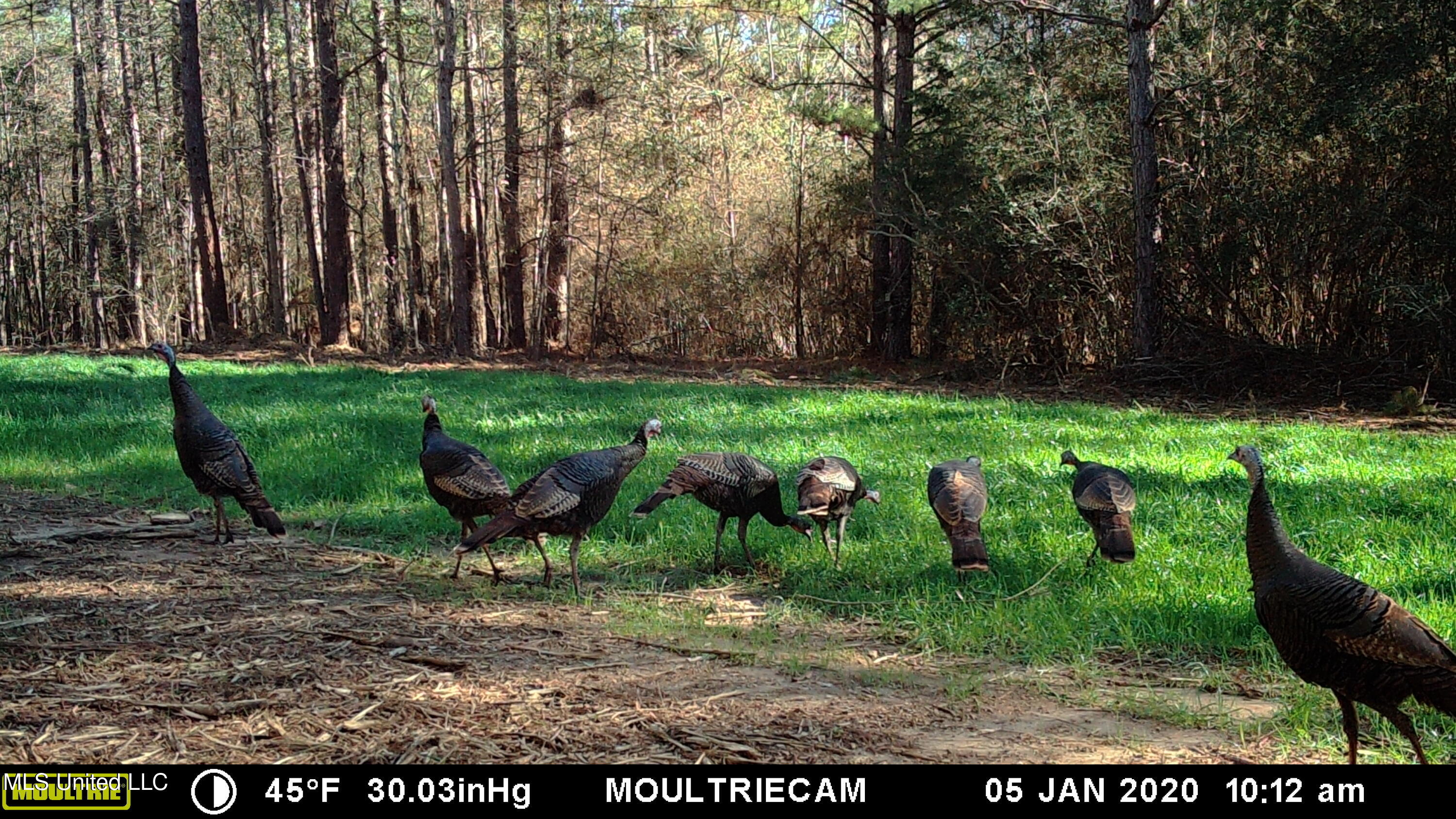 5302 East Wicker Road Smithdale, MS 39664 - Photo 46 of 50 MFDC0180