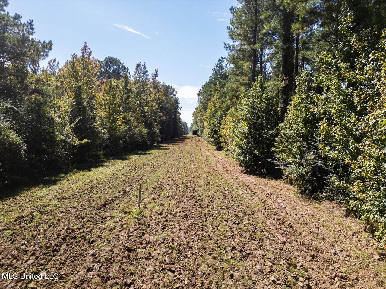 5302 East Wicker Road Smithdale, MS 39664 - Photo 5 of 50 DJI_0756 Large