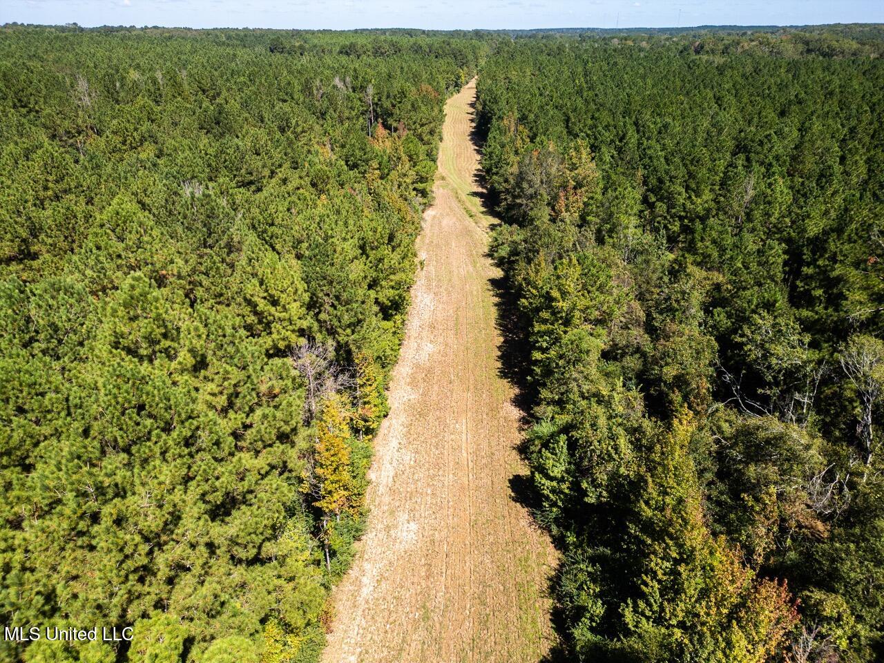 5302 East Wicker Road Smithdale, MS 39664 - Photo 7 of 50 DJI_0761 Large