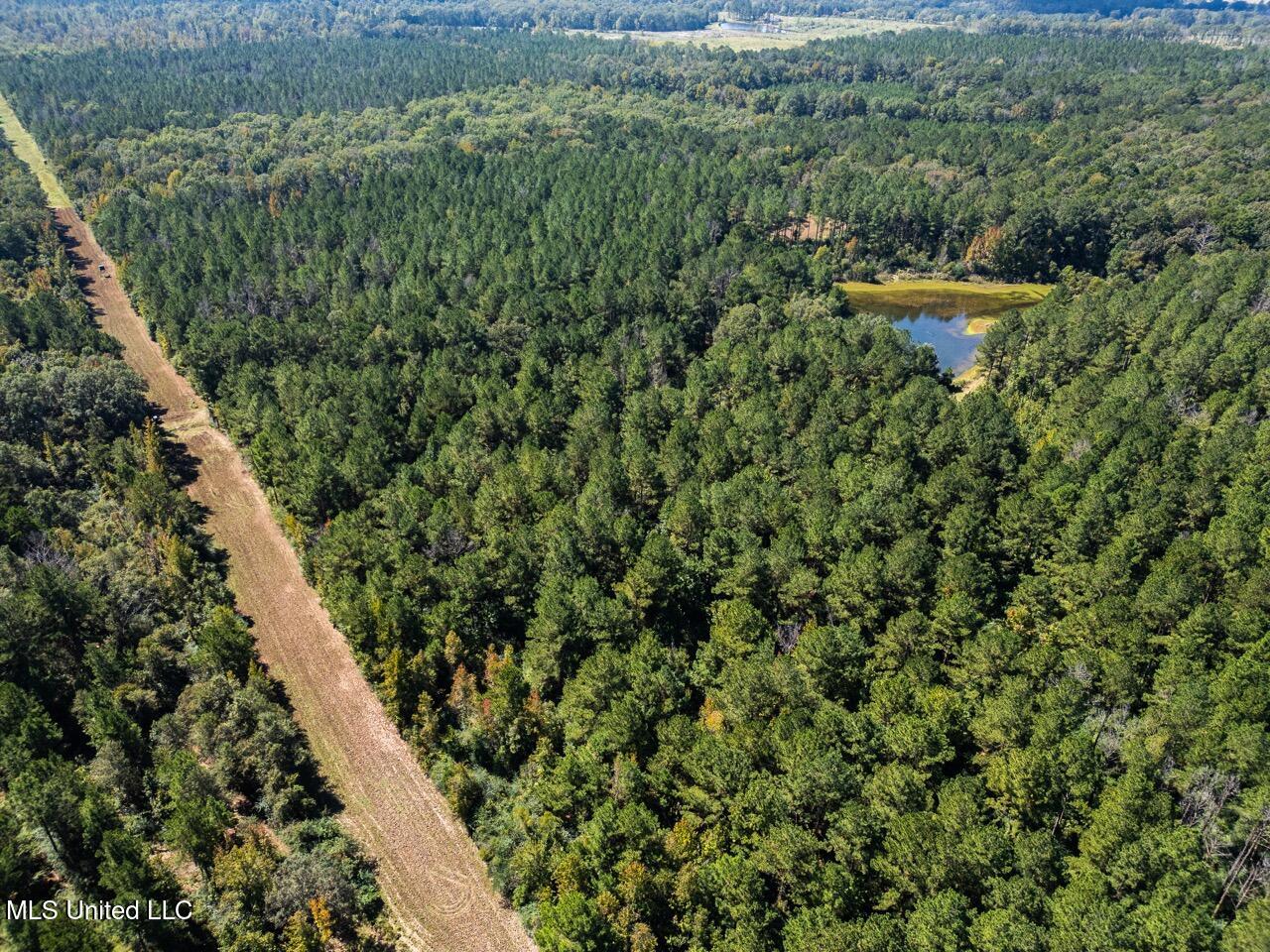 5302 East Wicker Road Smithdale, MS 39664 - Photo 9 of 50 DJI_0772 Large