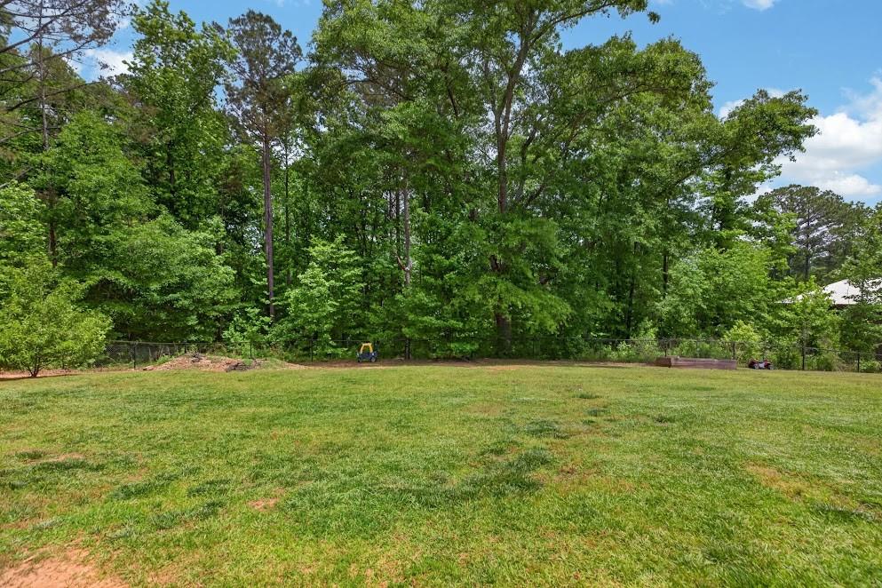 48 Cook Street Tallapoosa, GA 30176 - Photo 26 of 30