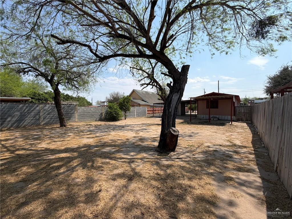 1814 Canyon Street Rio Grande City, TX 78582 - Photo 8 of 9 a view of a yard with a tree