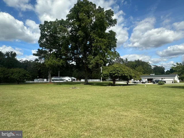 a view of a park with large trees