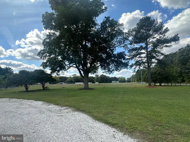 a view of outdoor space with green field and trees