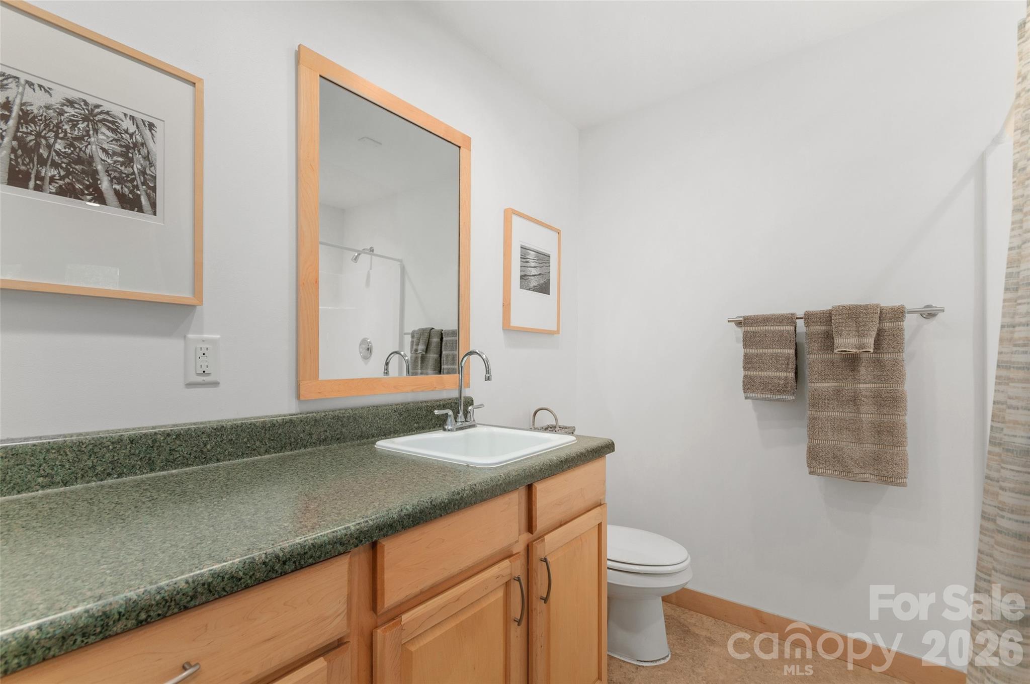 608 Brandywine Road Waynesville, NC 28786 - Photo 22 of 32 Gallery Image 22